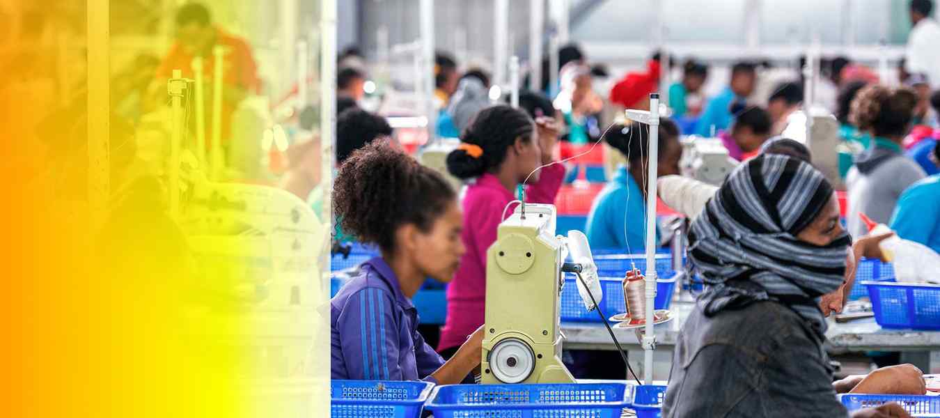 Training Our training programs aim to equip trainees with the technical skills appropriate to the world of work in academia, research and project management occupations. We have expertise in curricula...