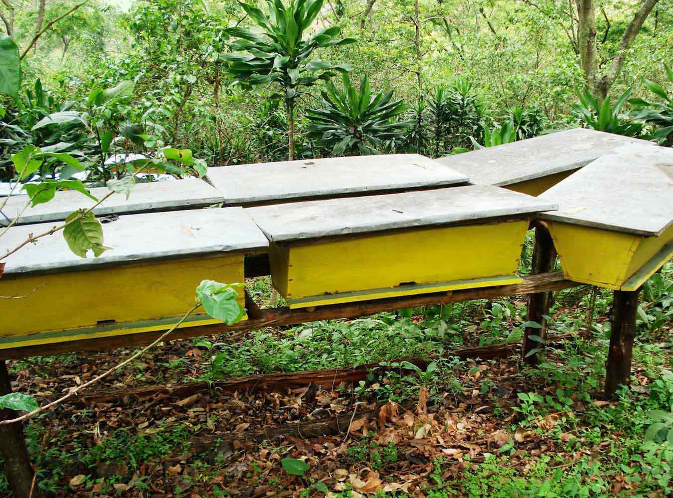 Survey We have extensive experience in managing large scale firm, household and individuals surveys and running large scale field experiments. Our data collection protocol adopts rigorous academic standards and consistently...